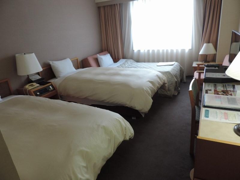 Grand Terrace Chitose Hotel 3*